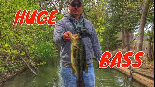 Using CRANKBAITS to Catch MONSTER BASS [upl. by Rosetta214]