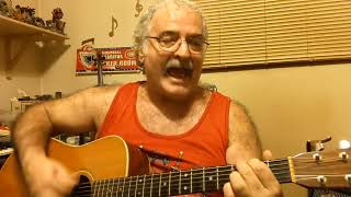 Smoky Mountain RainRonnie Milsap Cover by Rick Thibault [upl. by Dilks]