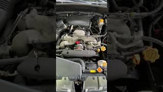 Loud Subaru Engine Noise Is It Normal motorcarnut shorts [upl. by Dilahk]