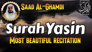 Surah Yasin Yaseen  By Sheikh Saad AlGhamdi  36 سورة يس  most beautiful recitation [upl. by Ecidnarb]