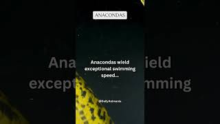 Anacondas wield exceptional swimming speed share subscribe shorts [upl. by Asamot]