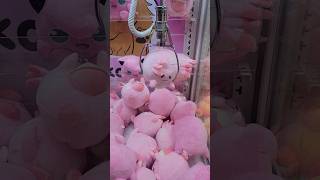 Pokemon Claw Machine Catching Chansey [upl. by Malas]