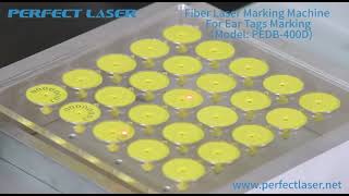 Fiber Laser Marking Machine for Ear Tags Marking PEDB 400D带耳标工作台 [upl. by Seedman]