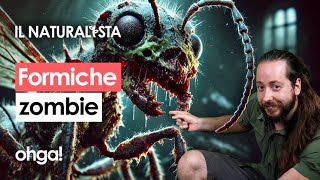 Come fa il fungo parassita Cordyceps a controllare le formiche e trasformarle in zombie [upl. by Otreblig]