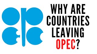 Why Are Countries Leaving OPEC  Ecuadors OPEC Exit  EXPLAINED [upl. by Oicnanev]