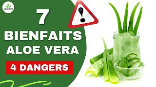 ALOE VERA  SES BIENFAITS ET DANGERS POUR LA SANTÉ CHEVEUX PEAU DIGESTION ETC [upl. by Ettenoj]