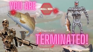 quotYou are Terminatedquot Packery Channel Jetty Fishing Part 1 [upl. by Wyly]