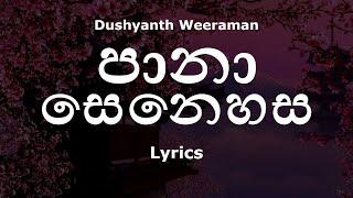 Dushyanth Weeraman  පානා සෙනෙහස  Paana Senehasa Lyrics [upl. by Damha]