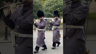 WINDSOR CASTLE GUARD with 1st Bn Welsh Guards Corps of Drums 5 November 2024 NEW💂‍♂️ [upl. by Nosdivad]