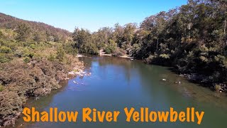 Targeting Shallow Water Yellowbelly Best Lures to use [upl. by Assenav100]