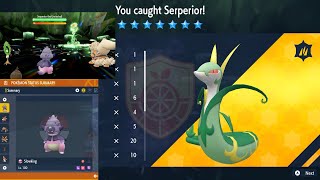 Pokémon Scarlet and Violet EASY 7Star Serperior [upl. by Attenyl828]