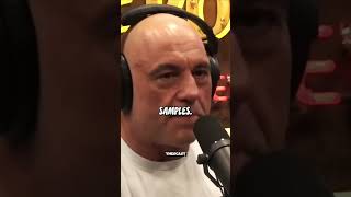 Joe Rogan Going DEEP on the Chimpanzee amp Bonobo Topic shorts jre joerogan [upl. by Ydnec]