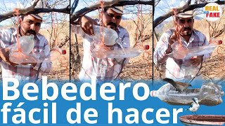 Hombre arma bebedero casero para las aves y se vuelve viral noticias [upl. by Rowell]