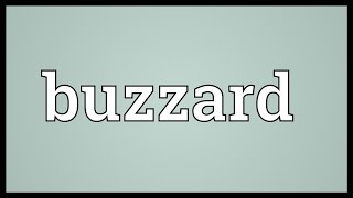 Buzzard Meaning [upl. by Weisler]