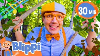 So Much to Learn About Blippi Theme Song  Blippi Music for Children  Nursery Rhymes for Babies [upl. by Moselle]