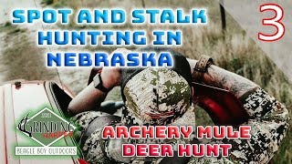 Spot and Stalk Hunting in Nebraska  Mule Deer Hunt Turns Whitetail Real Fast [upl. by Borlase]