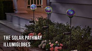 The Solar Pathway Illumiglobes [upl. by Nueoras]