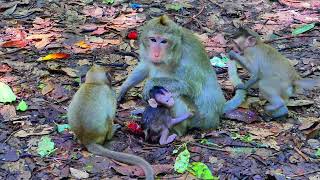 How A Beautiful Female Mother Saves A Little Baby Elias BABY Medical [upl. by Nawram]