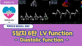 Diastolic function  Relaxation mitral inflow tdi echocardiography 심장초음파 heart echo view [upl. by Helena]