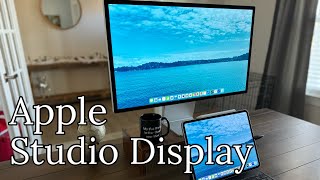 Apple Studio Display and iPad Pro are amazing together [upl. by Emmerich]