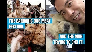 Marc Ching  The man trying to end the Yulin dog meat festival  Yulin 2017 [upl. by Elamor]