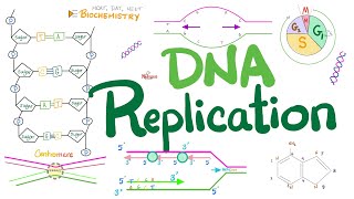 DNA replication in Prokaryotes amp Eukaryotes DETAILED  Molecular Biology 🧬 amp Biochemistry 🧪 [upl. by Daht]