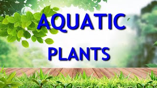 Aquatic Plants Evs GRADE 4 CBSE [upl. by Assilim568]