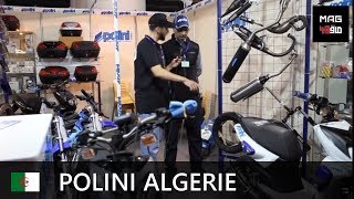 Nouveautés  POLINI 2017  جديد [upl. by Ahsaf]