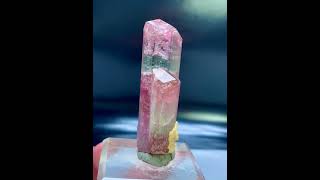 Bicolor TourmalineCrystal  PaprokTourmaline  TourmalineSpecimen  FineMineral [upl. by Fatsug]