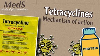 Proteins synthesis inhibitors  Tetracyclines  mechanism of action  MedS [upl. by Leaper]