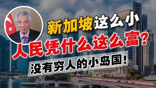 新加坡Top1富人， 都在买入什么资产？国富民更富！人均金融资产全球第四，亚洲第一！ [upl. by Norine81]