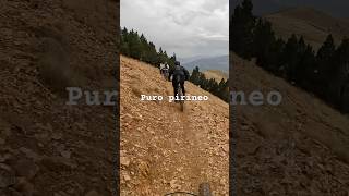 Puro pirineo mtb pirineus bttlife mountainbike bici bicicleta trilhos mtb btt espanha [upl. by Ynos]