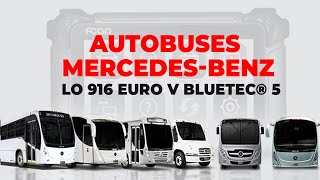 ESCÁNER FCAR –RUTA DE DIAGNÓSTICO AUTOBUSES MERCEDES BENZ LO 916 Euro V BlueTec® 5 [upl. by Parik]