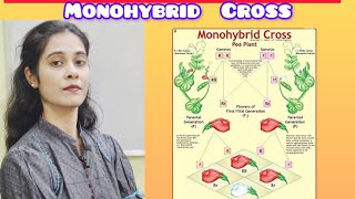 Biology Marathon Monohybrid crossPrinciples of Inheritance and Variation [upl. by Immac]