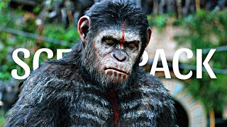 Caesar  Scene Pack  Planet of the Apes  4K [upl. by Tyika]