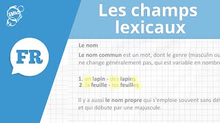 Allô prof  Les champs lexicaux [upl. by Ispep]