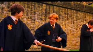 Funny Weasley Scene 19  Ron gets whacked [upl. by Entirb472]