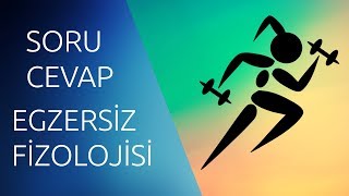 EGZERSİZ FİZYOLOJİSİ SORU CEVAPEndokrin Sisteme kadar [upl. by Linell842]