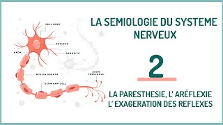 EPISODE 2 La sémiologie neurologique LA PARESTHESIE L’ ARÉFLEXIE L’ EXAGERATION DES REFLEXES [upl. by Halullat291]