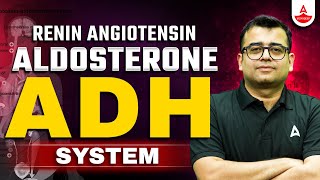 Renin Angiotensin Aldosterone System  NEET 2025  Antidiuretic Hormone ADH System  Nomesh Sir [upl. by Yalonda]