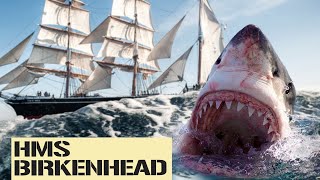 444 Men Eaten by Sharks [upl. by Otis]