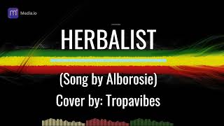 Herbalist Lyrics Alborosie Cover by Tropavibes Band [upl. by Zeeba659]