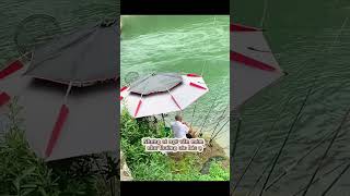 Giăng như giăng bẫy fishing fish carpfishing fishinglife cauca bassfishing funny carp food [upl. by Marella]