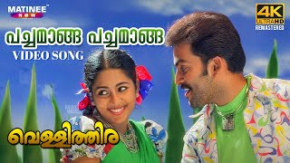 Pachamaanga Pachamaanga Video Song  4K Remastered  Vellithira  Prithviraj  Navya Nair [upl. by Kerrill]