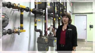 Gas Meter  Turn On Procedure [upl. by Annissa]