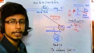 RNA editing mechanism [upl. by Teresita]