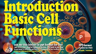 Introduction to Basic Cell Functions [upl. by Winther975]