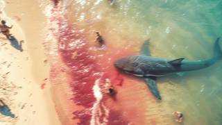 This Shark Attack Will Make You Think Twice About Swimming [upl. by Yreneh]