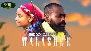 Ibiddo Galaan  Walashee  New Ethiopian Oromo Music 2022 Official Video [upl. by Jona]