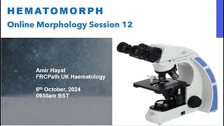 Hematomorph Session for Morphology [upl. by Nugent912]